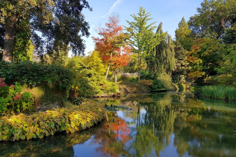 Wycieczka do Wojsławic – Arboretum